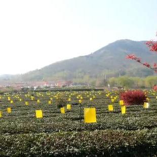 质问:2025全年正版资料大全,谨防包装的假象,案例解答、解释与落实